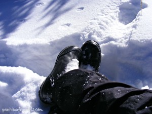 Prairie Wife in Snow