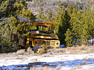 school bus