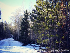 snowy road