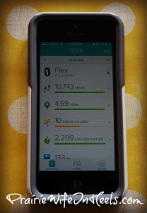 FitBit Dashboard