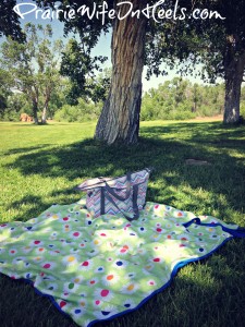 Picnic