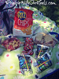 Picnic food