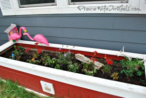 Planter Box