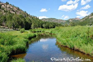 beautiful WY view