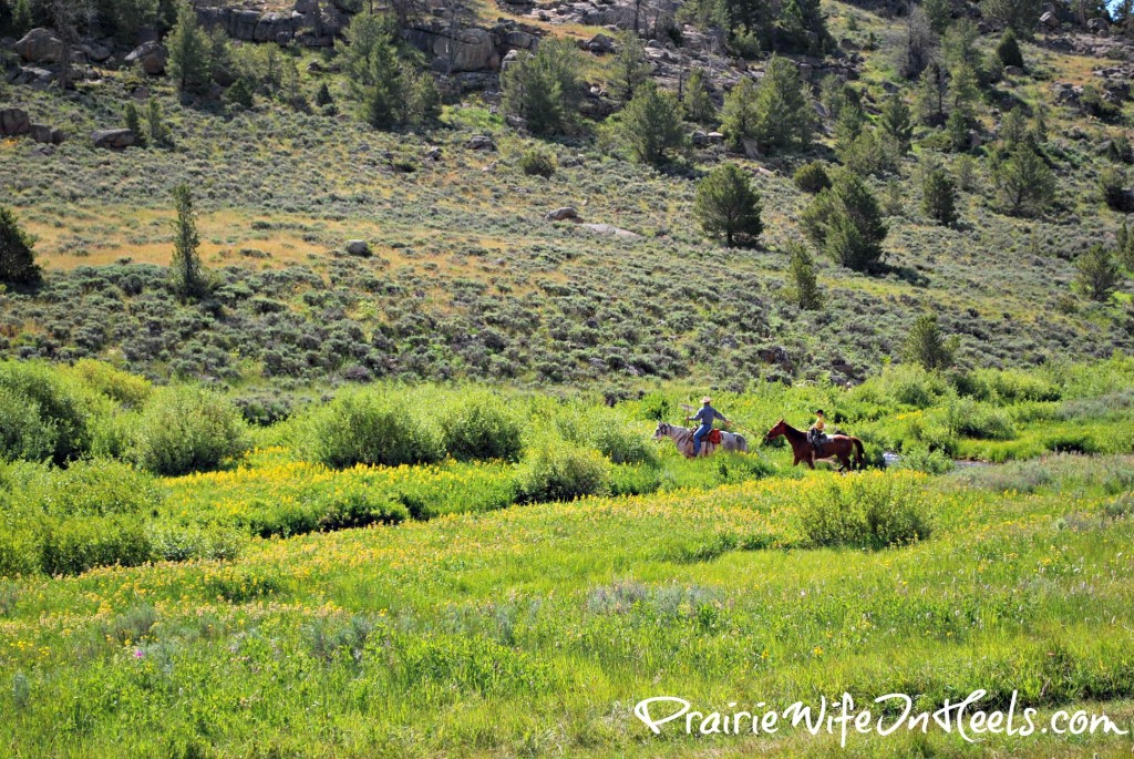 Horseback riding