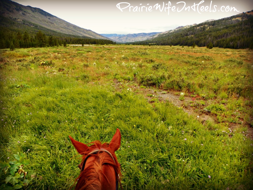 Thorofare Valley