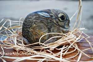 painted rock rabbit