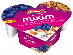 MIXIM Blueberry Cookie Bites