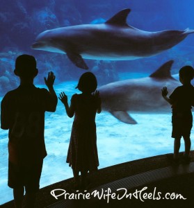 Sea World