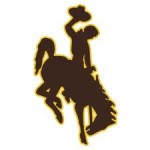 wyo bucking horse