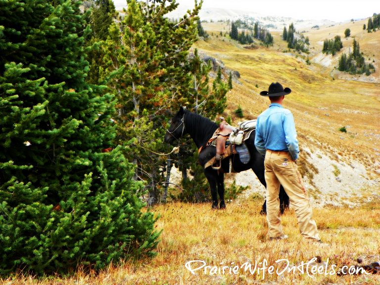 The Cowboy's Elk Hunt 2014 - PrairieWifeinHeels.com