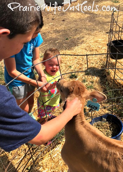 Cowkids with calf