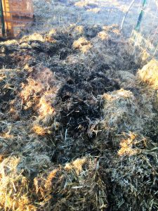 smoldering hay