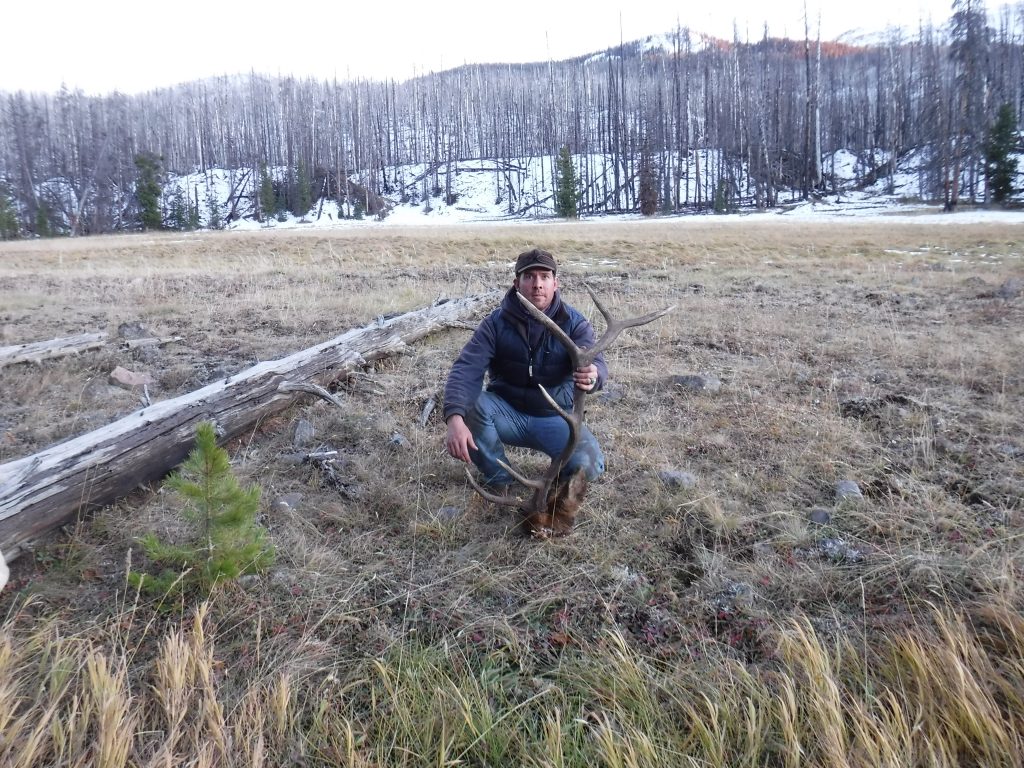 The Cowboy with his Elk