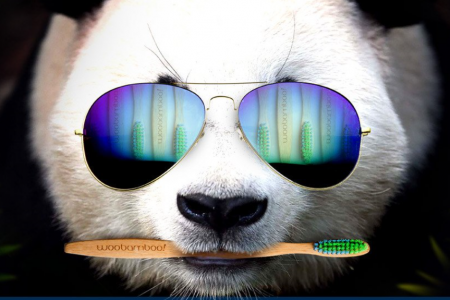 woobamboo panda