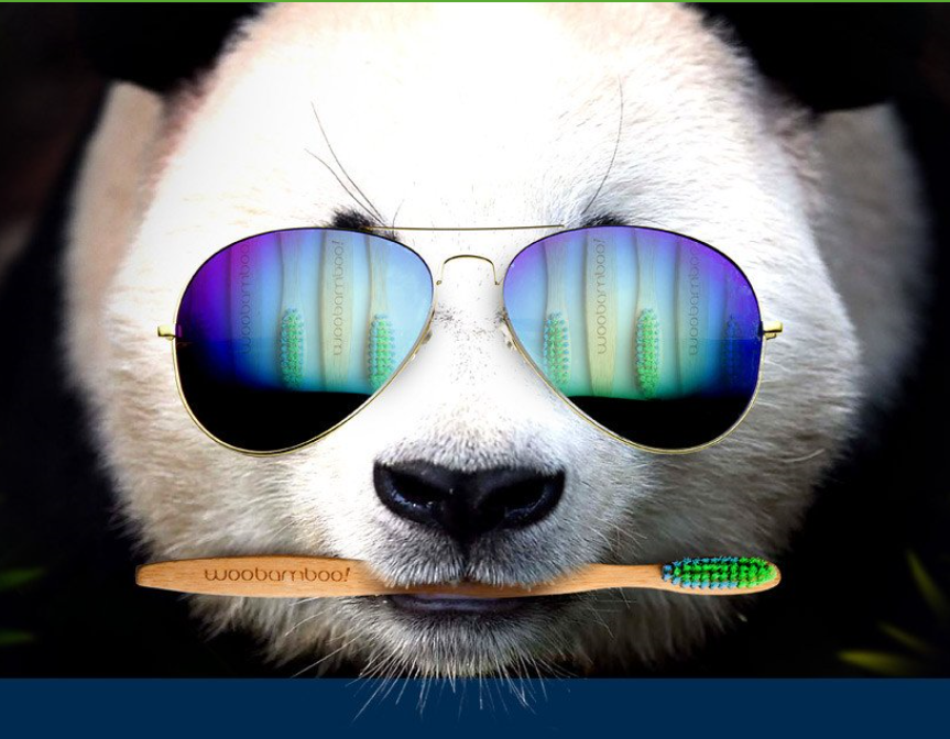 woobamboo panda