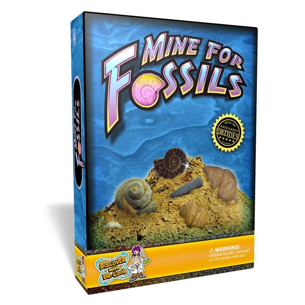 mine for fossils