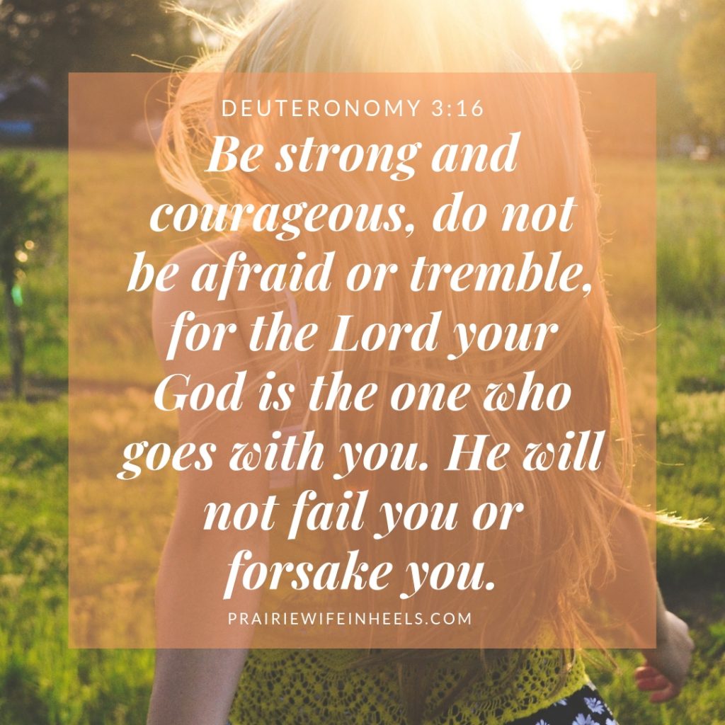 Be strong and courageous, do not be afraid or tremble, for the Lord your God is the one who goes with you. He will not fail you or forsake you.
