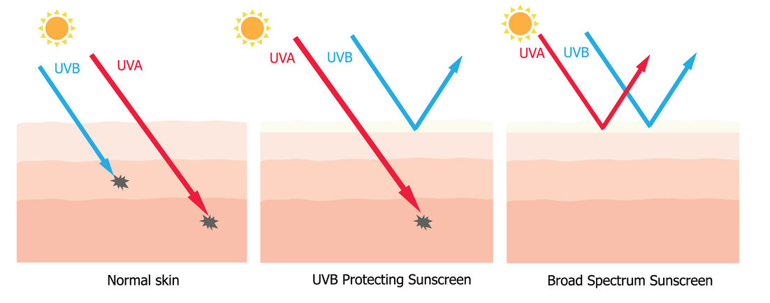 Sunscreen Facts and Must Dos - PrairieWifeinHeels.com