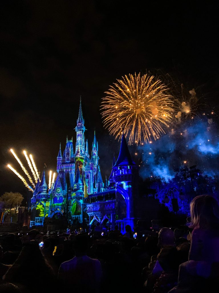 Disney world fireworks